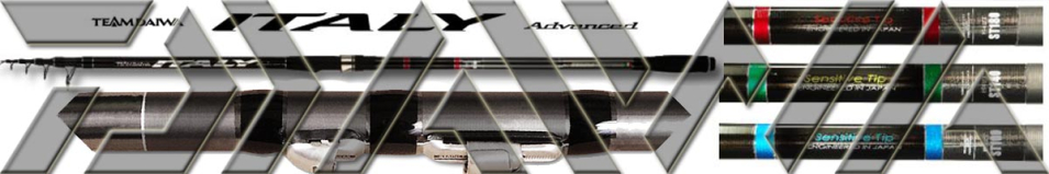 Daiwa TD Italy Vast