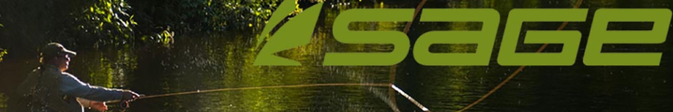 Sage 10150-4 ONE 2HD Rod