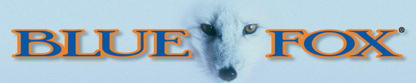 Blue Fox