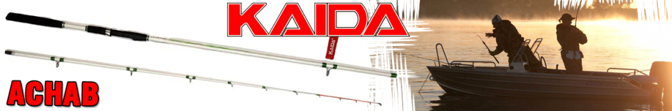 Kaida Achab (402)