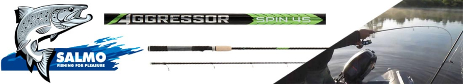 Salmo Aggressor Spin 45