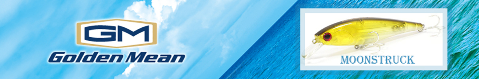 Golden Mean MoonStruck 135SP