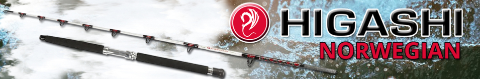 Higashi Norwegian