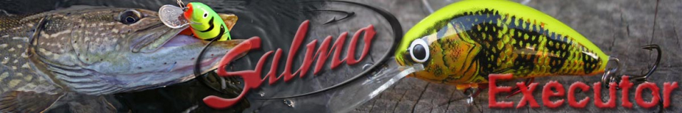 Salmo Executor SR 70