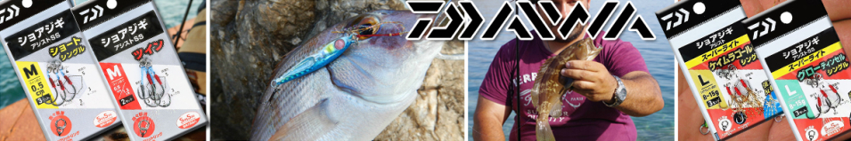 Daiwa Shore Jigging Assist SS S-T