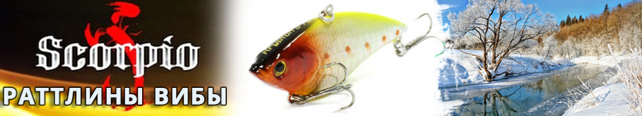 Sсorpio