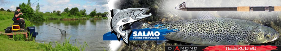 Salmo Diamond Telerod 90