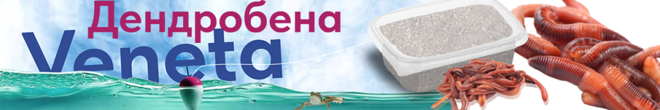 Червь Дендробена 20гр Мягкая пластиковая банка