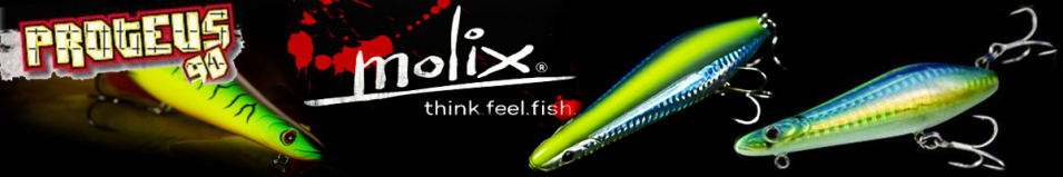 Molix MTW (Proteus) 90