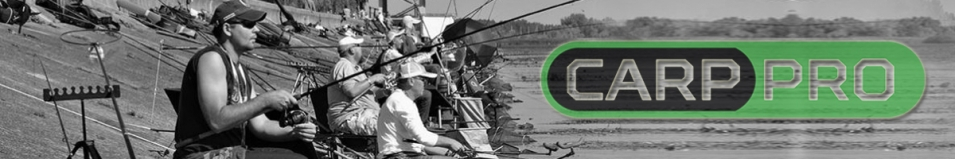 Carp Pro Escol 42