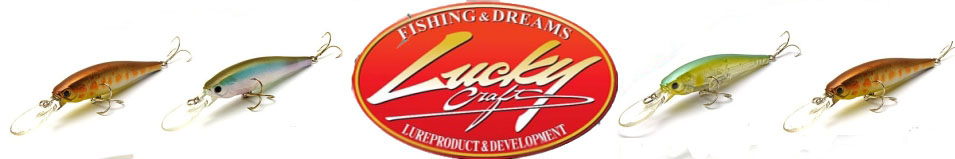 Lucky Craft SW Pointer 100DD