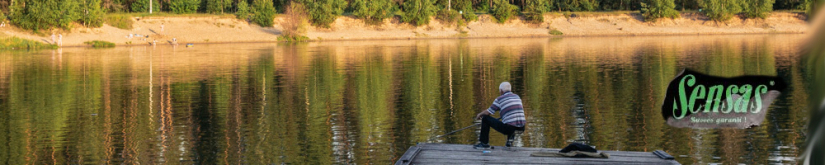 Sensas Attractive Carp 0.25кг