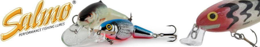 Salmo Frisky SR 70