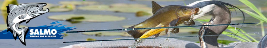 Salmo Galaxy Carp Reflexion