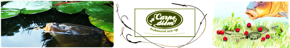 Carpe Diem Trickster Heavy 20cm Green Wide Gape Talon Tip