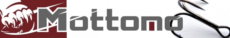 Mottomo TX-03