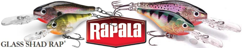 Rapala Glass Shad Rap GSR4