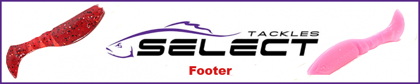 Select Footer 3