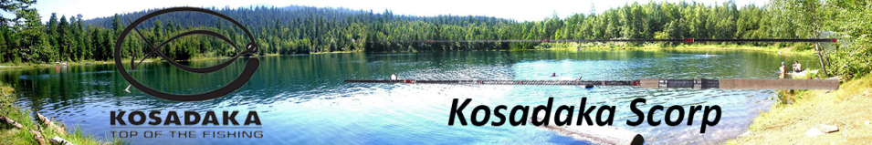 Kosadaka Scorp