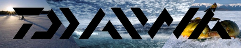 Daiwa Wading Shoes