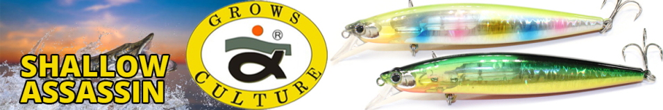 Grows Culture Shallow Assassin 120F