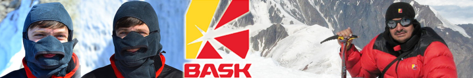 Bask WB Thor V2 Серый