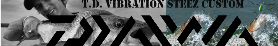 Daiwa T.D. Vibration Steez Custom 53S-S