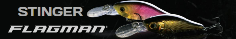 Flagman Stinger 40SP