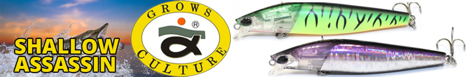 Grows Culture Shallow Assassin 99F