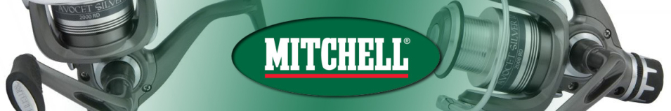 Mitchell Avocet Silver 3 4000 RD