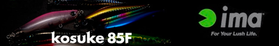 Ima Kosuke 85F
