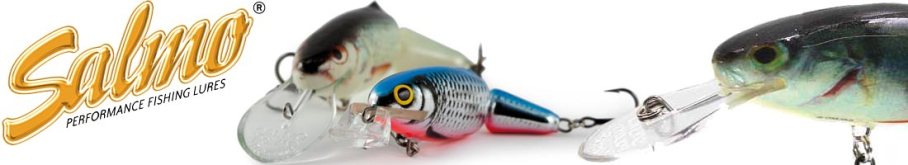 Salmo Frisky DR 70