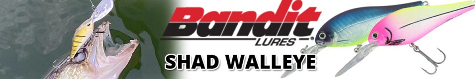 Bandit Shad Walleye 2