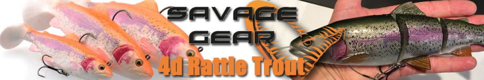 Savage Gear 4d Rattle Trout 17cm 80g