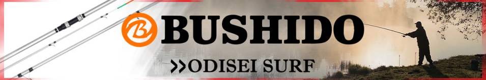 Bushido Odisei Surf