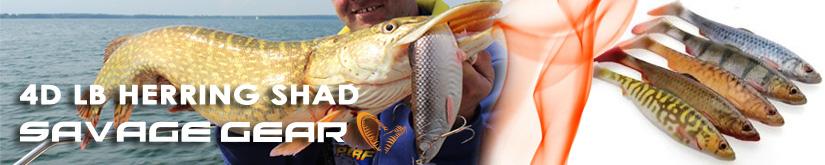Savage Gear 4D LB Herring Shad 25