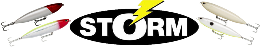 Storm Z-Stick ZS115