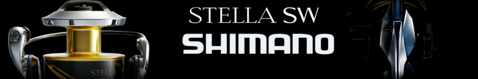 Shimano 25 Stella SW