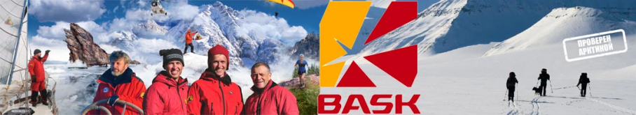Bask Alaska V2 Коричневый
