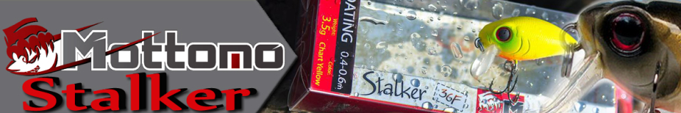 Mottomo Stalker DR 32F