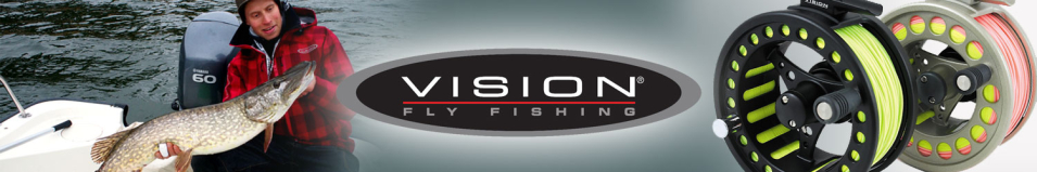 Vision Koma