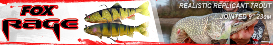 Fox Rage Realistic Replicant Trout Jointed 9