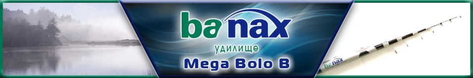 Banax Mega Bolo B