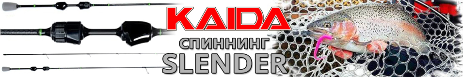 Kaida Slender
