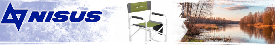 Nisus (T-N-DC-95200-K-GG) Кресло директорское