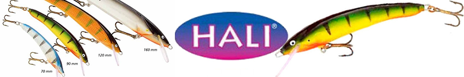 Hali Gemini 120