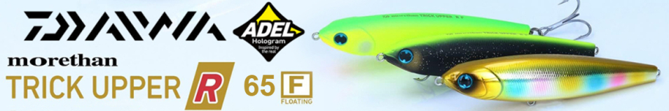 Daiwa Morethan Trick Upper R 65F