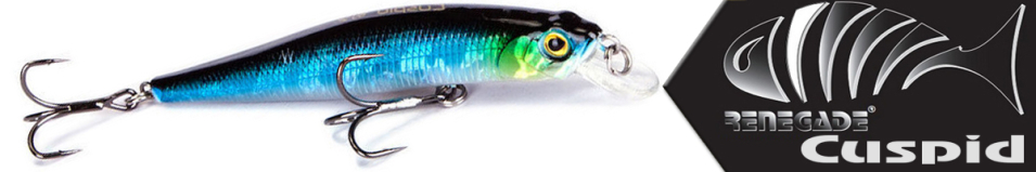 Renegade Cuspid 80SP