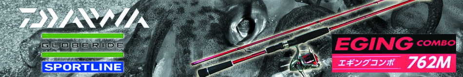 Daiwa Eging Combo