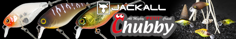 Jackall Chubby 41 SR Silent